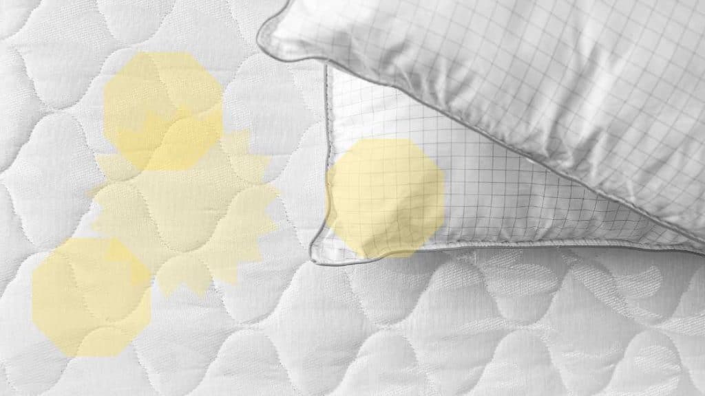 How to Clean Urine from Pillow Top Mattress