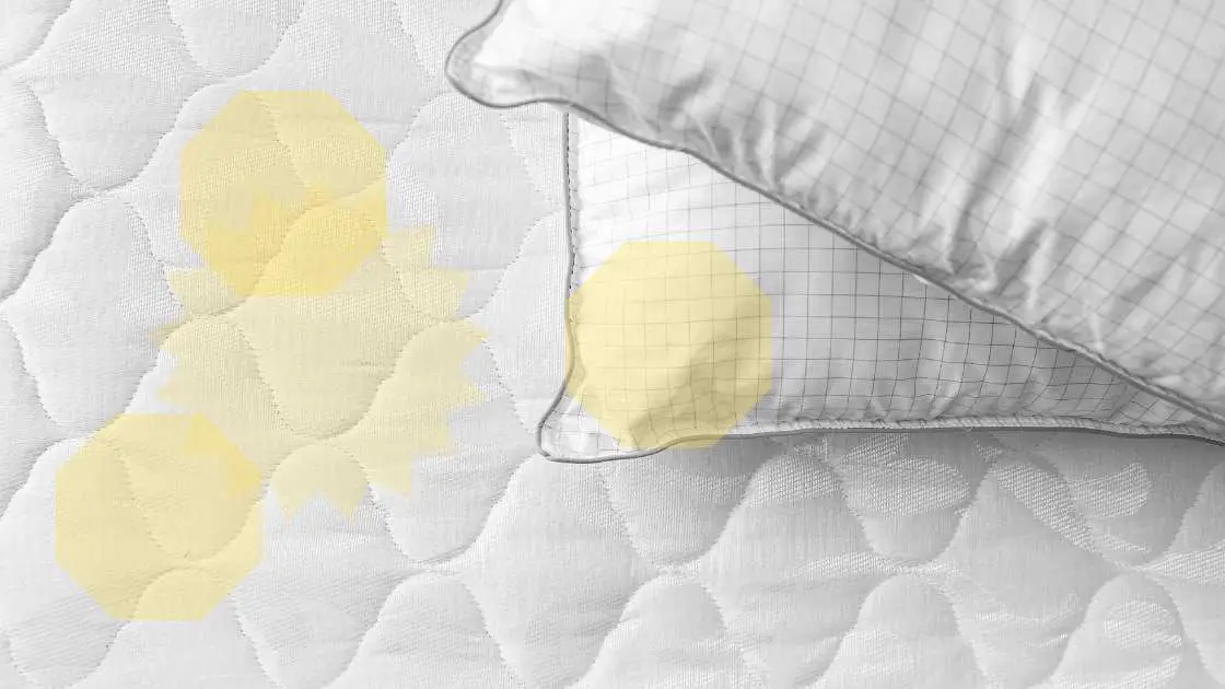 How to Clean Urine from Pillow Top Mattress? Tips & Tricks