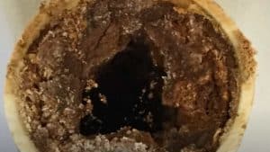 How to Clean Grease from Drain Pipes