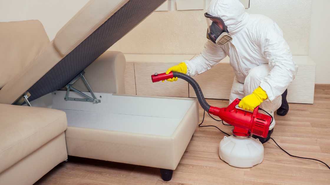 How Long Does Couch Cleaning Take? Expert Advice - House Cleanify