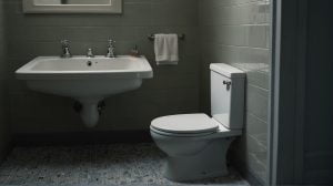 Why Put a Plastic Cup under Toilet Seat