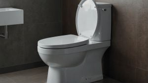 How to Remove Metal Scratches from Toilet Bowl