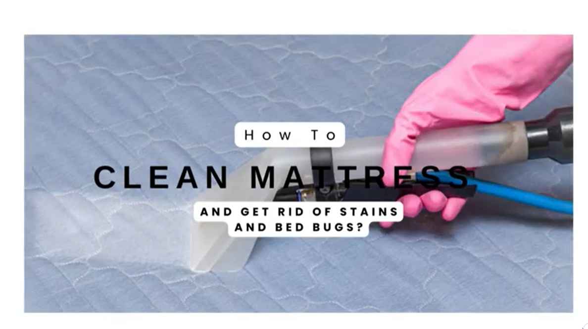 how-to-clean-a-used-mattress-for-bed-bugs-complete-guide-house-cleanify