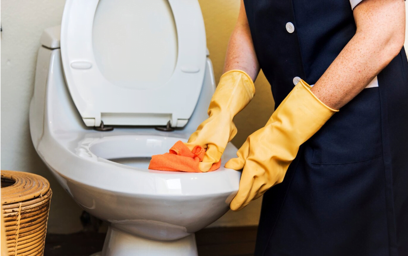 Can You Use Toilet Bowl Cleaner in the Sink