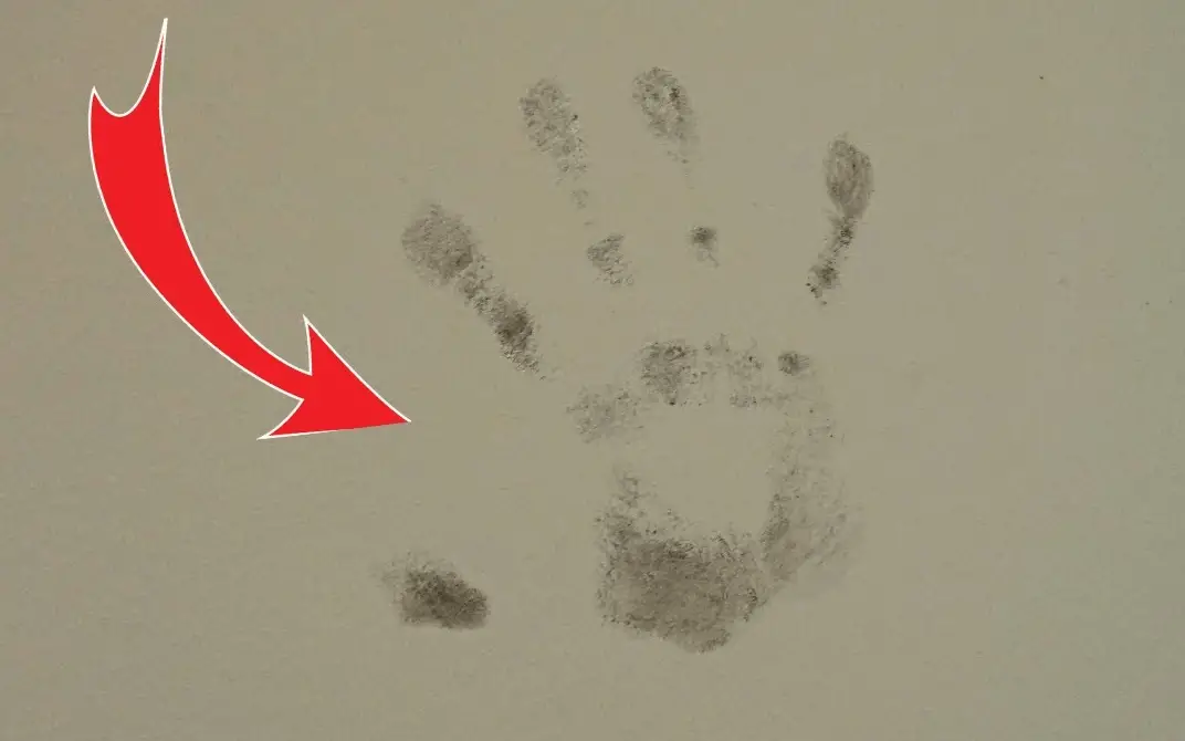 How to Clean Handprints off Walls Quick & Easy Methods