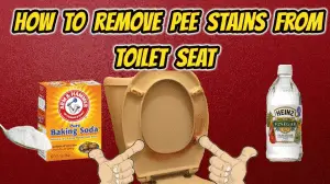 How to Remove Hard Urine Stains from Toilet