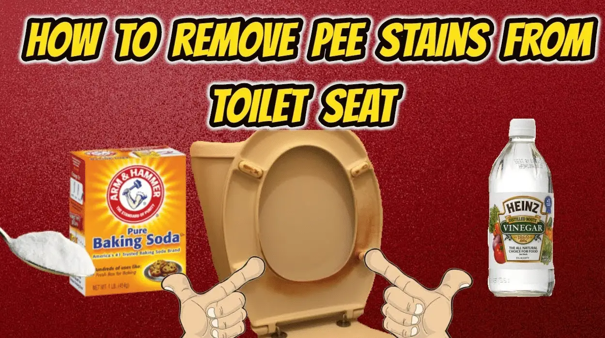 How to Remove Hard Urine Stains from Toilet Expert Tips