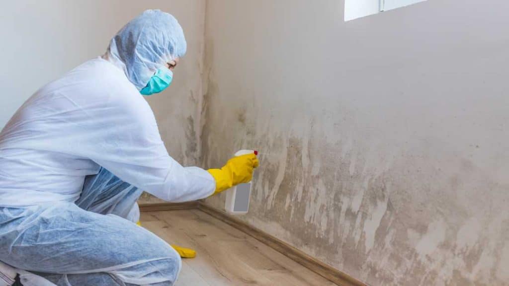 How to Remove Oil Stains from Wall Without Removing Paint