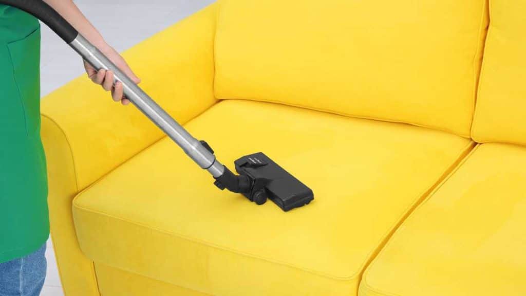 Can You Clean a Couch With a Carpet Cleaner