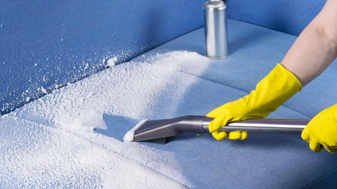 Introduction To Upholstery Cleaning