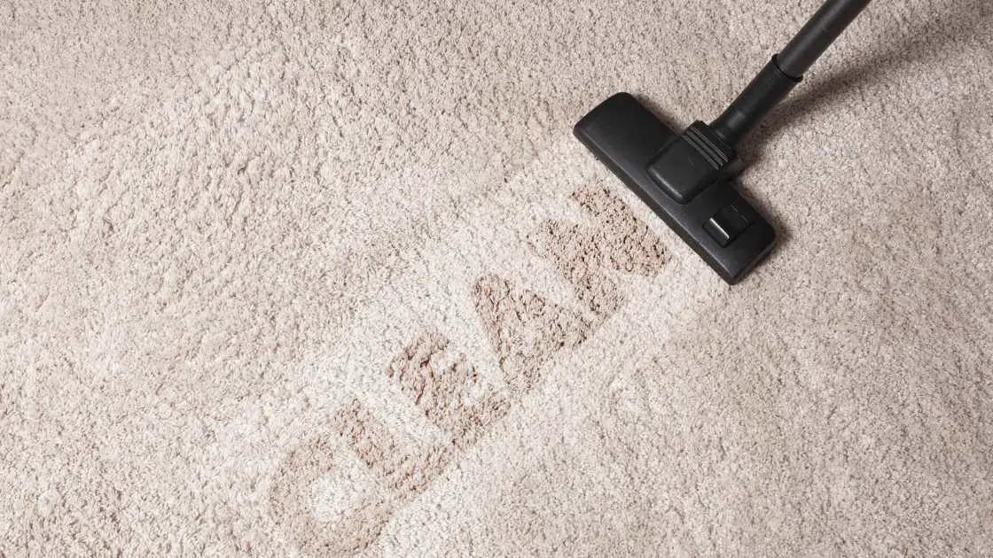 Understanding Carpet Cleaners