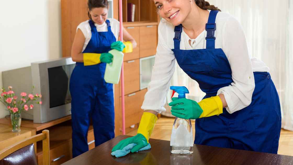 Commercial Cleaners