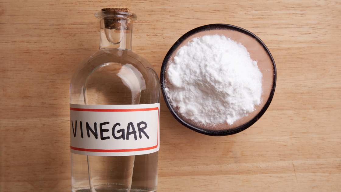 Vinegar