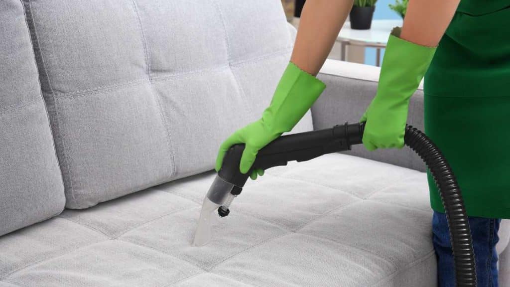 Professional Vs. Diy Couch Cleaning