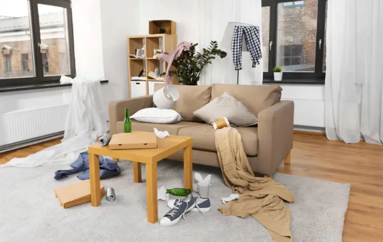 DIY Living Room Cleaning: Simple Steps for a Fresh Space