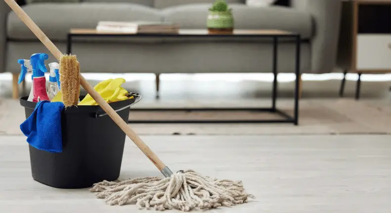 Living Room Cleaning Guide:: Quick & Easy