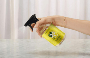 Living Room Cleaning Spray: Revitalize Your Space Instantly