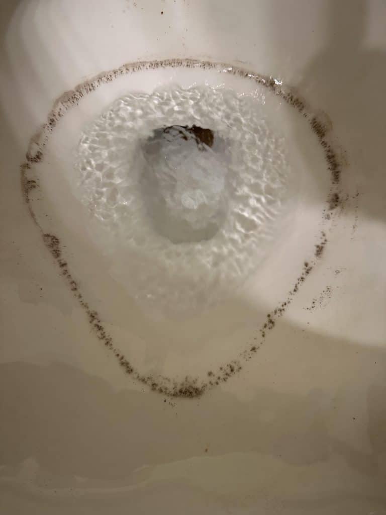 Black Ring in Toilet Tank