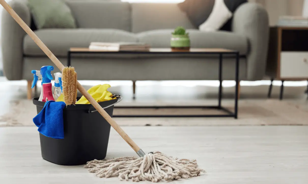 Living Room Cleaning Spray: Revitalize Your Space Instantly