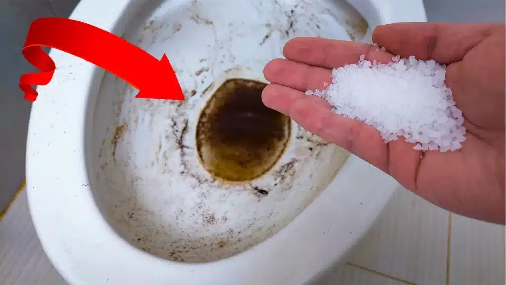 Say Goodbye to the Dreaded Black Toilet Ring: A Simple Solution