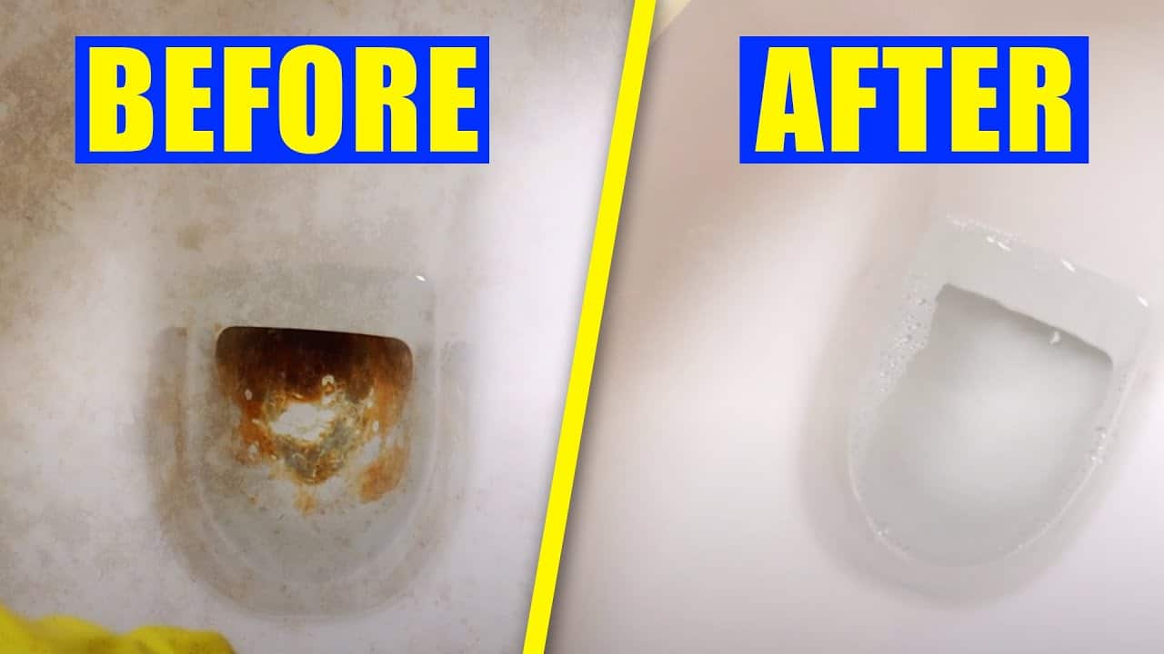 Transform Your Toilet: Proven Ways to Eliminate the Black Ring - House ... How to get brown ring out of toilet
