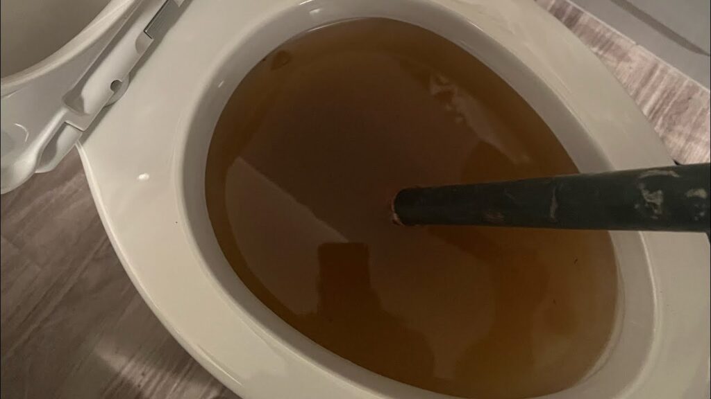 Fix Scratched Toilet Bowl