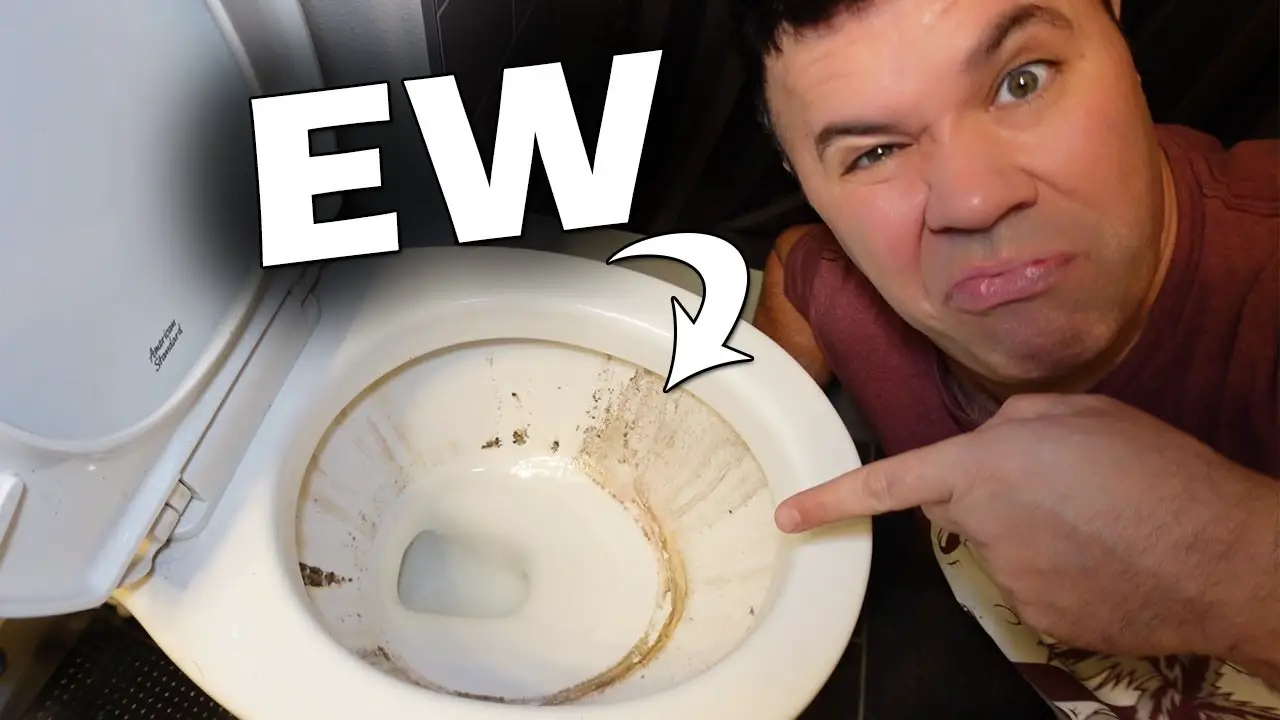 How to remove black ring in toilet