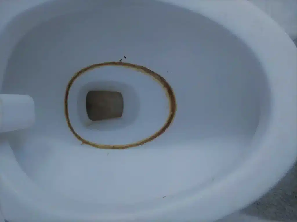 Black Toilet Rings