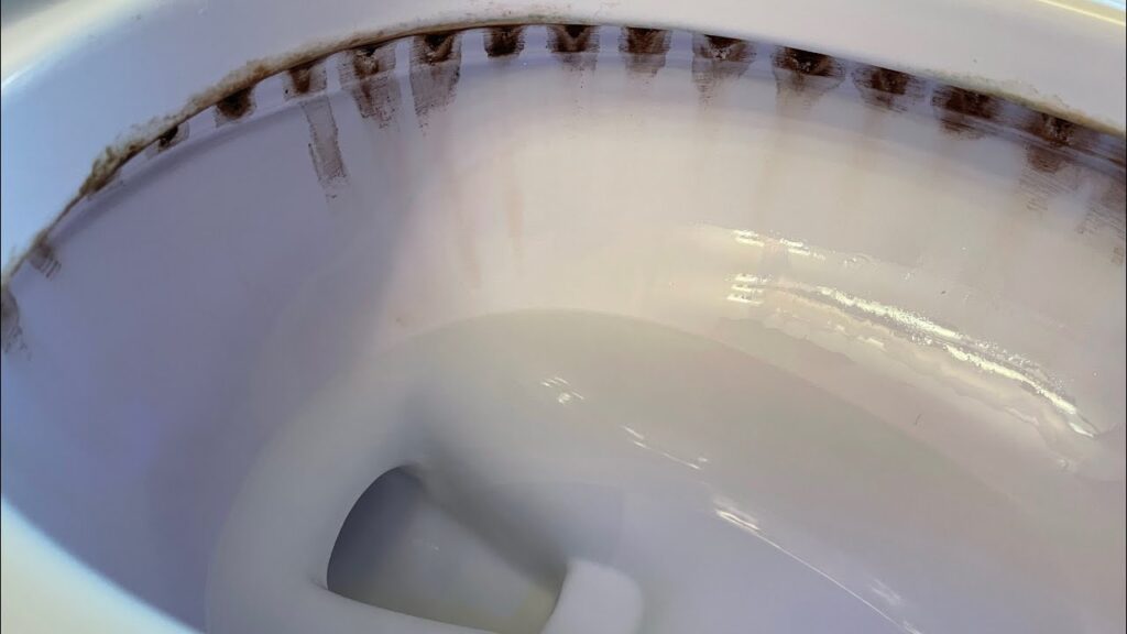 Dangers Of Toilet Bowl Cleaner