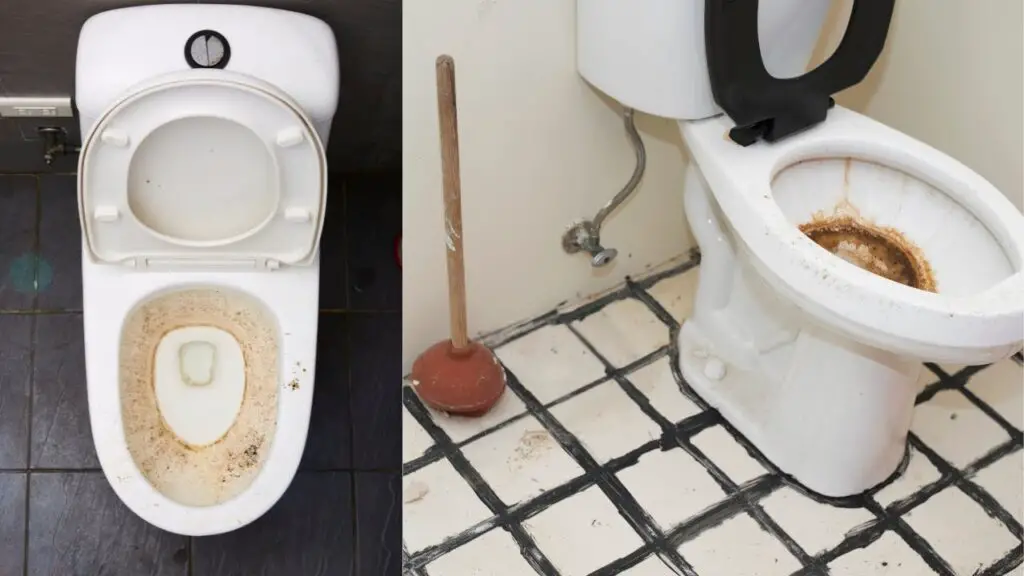 Prevent Black Ring In Toilet